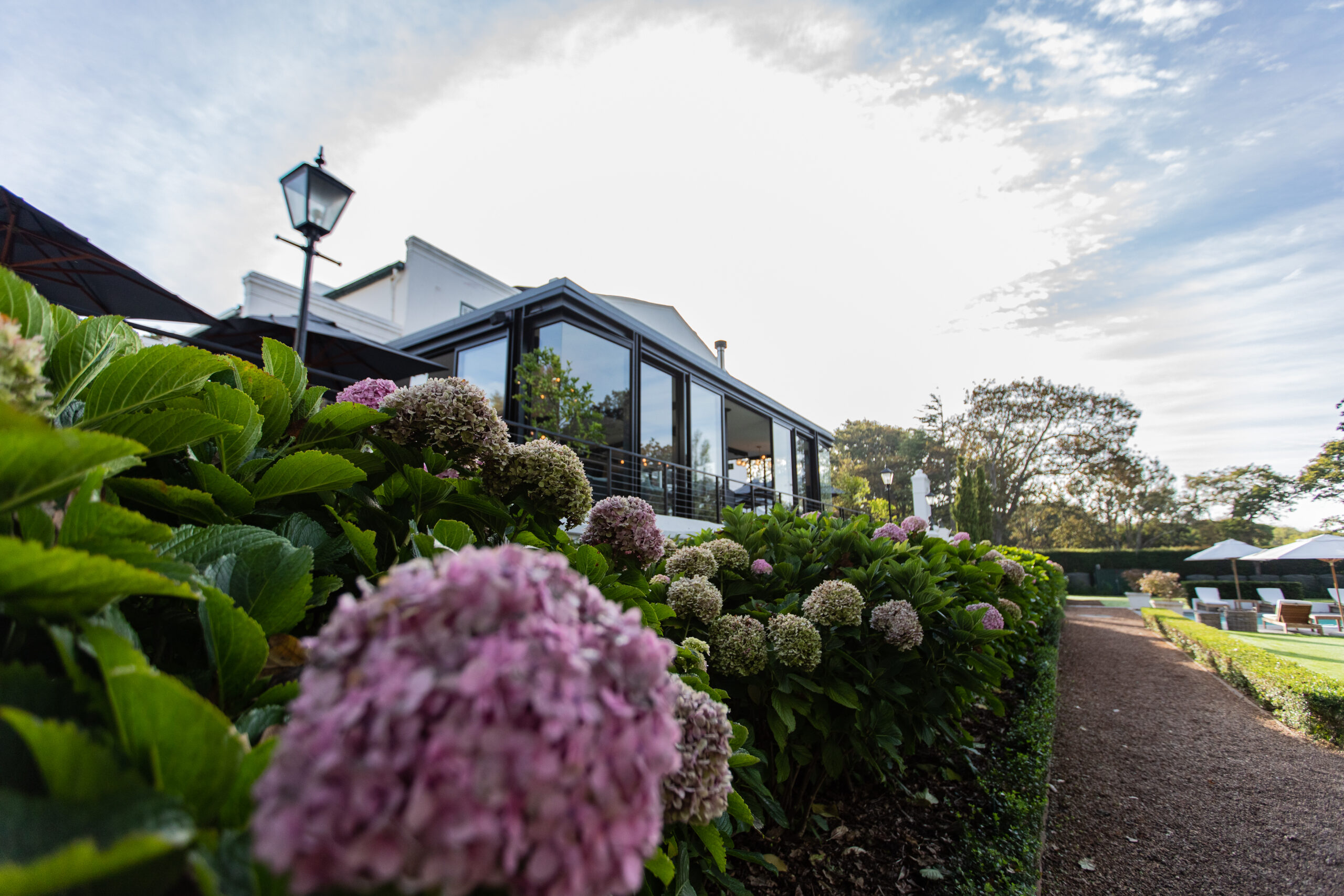 hydrangeas at Incognito - The Alphen Gardens - flowers of Kove Collection