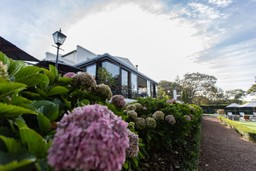 hydrangeas at Incognito - The Alphen Gardens - flowers of Kove Collection